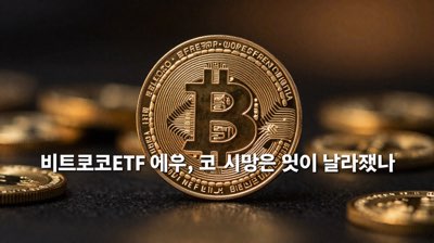 비트코인 ETF 이후, 코인 시장은 무엇이 달라졌나